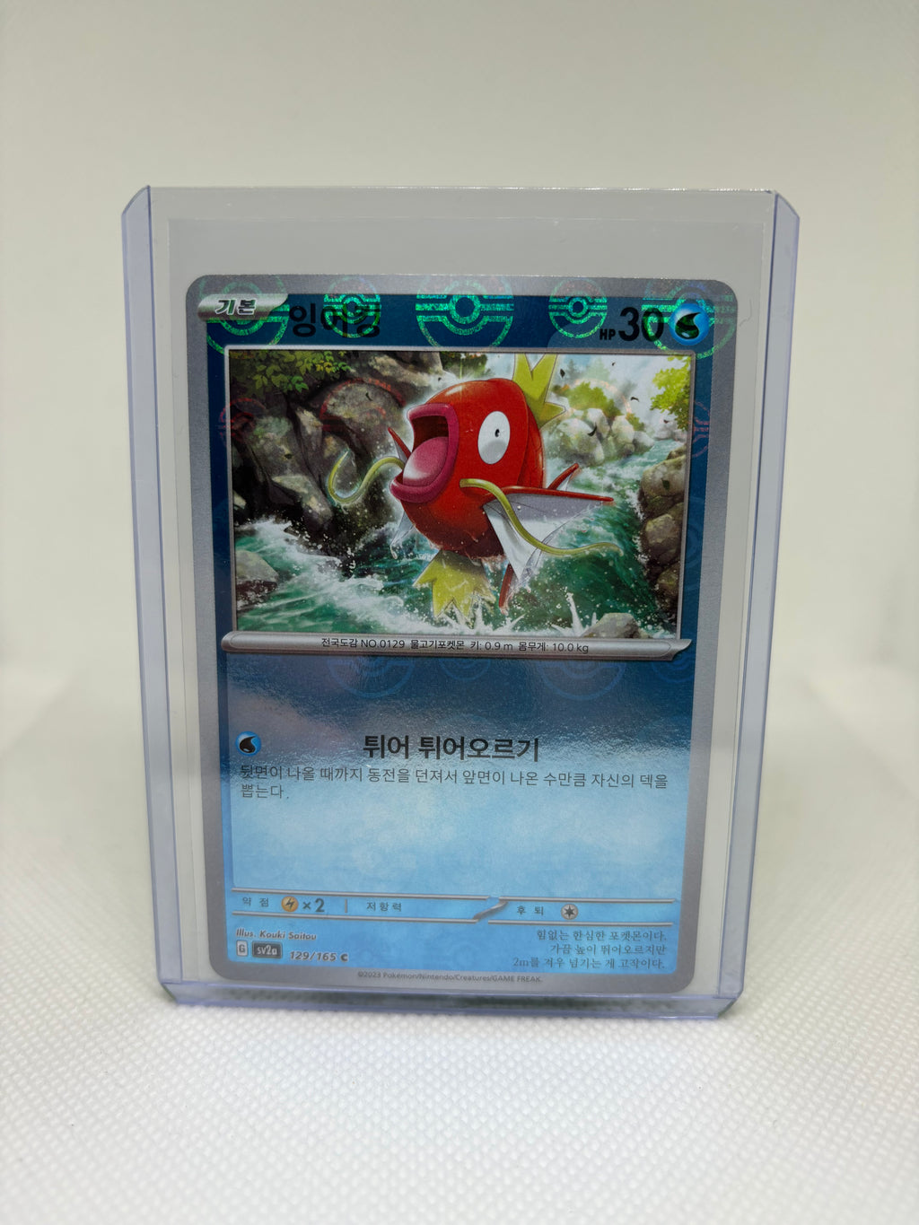 Magikarp (Poke Ball Pattern) - SV2a: Pokemon Card 151 (SV2a)