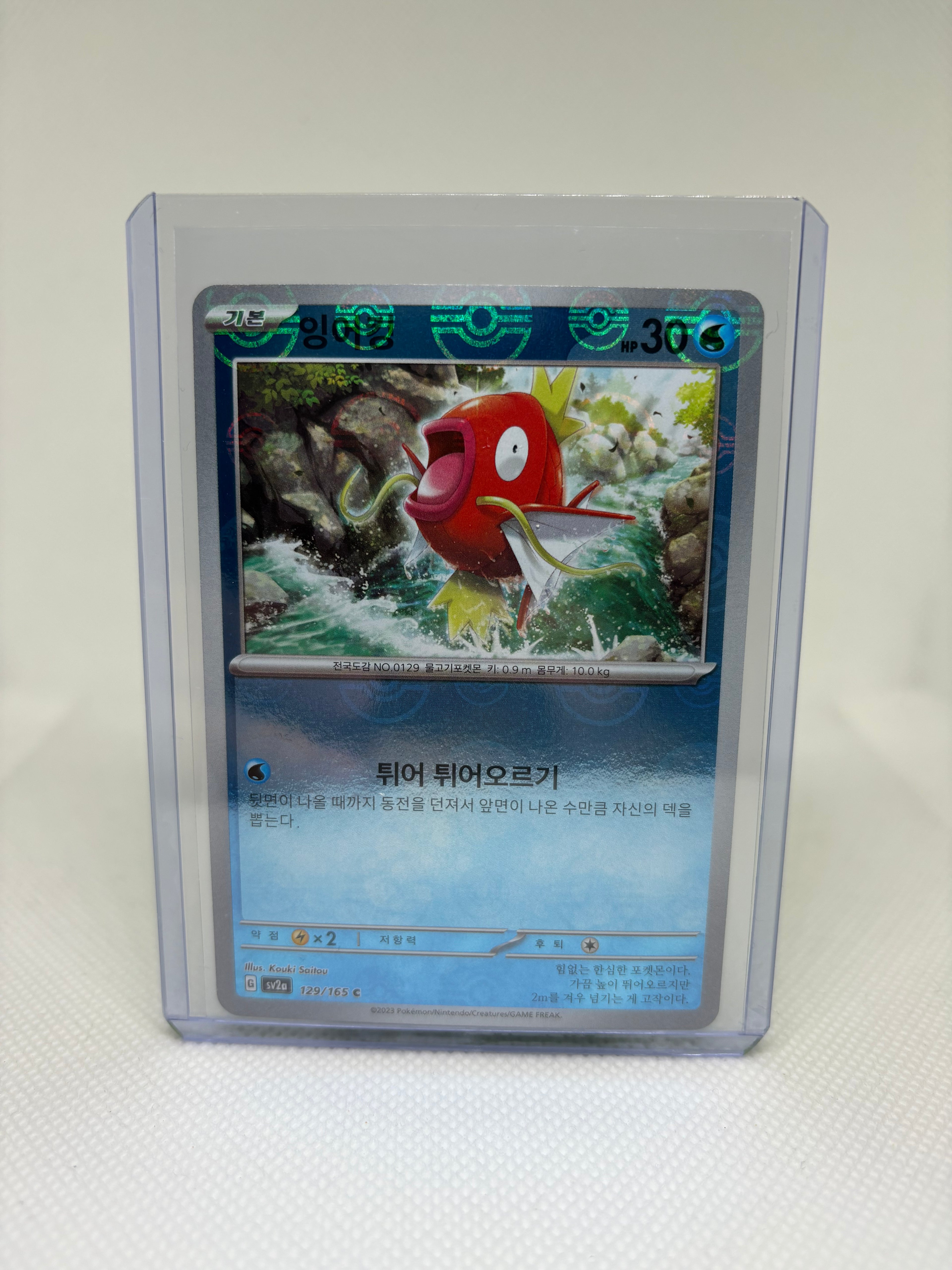 Magikarp (Poke Ball Pattern) - SV2a: Pokemon Card 151 (SV2a)