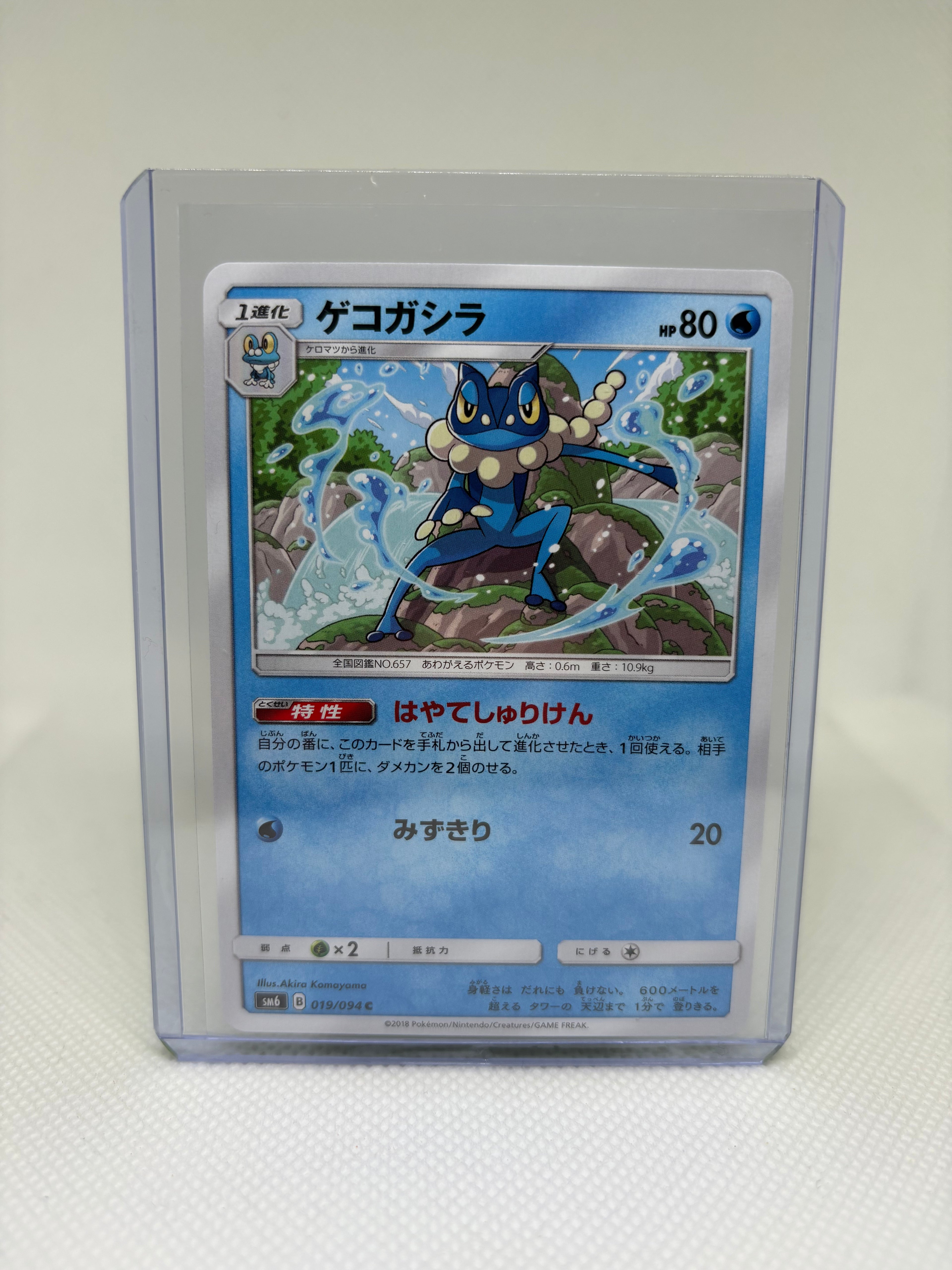 Frogadier - 019/094 - SM6: Forbidden Light (SM6)